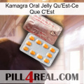 Kamagra Oral Jelly What Is It new13